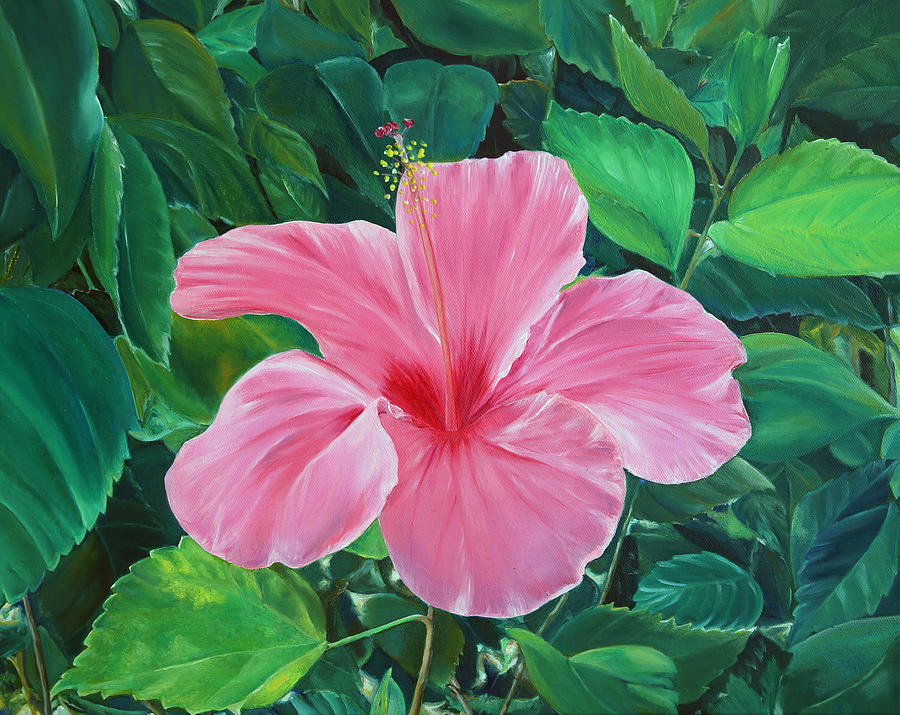 Hibiscus Painting by Elizabeth Lock