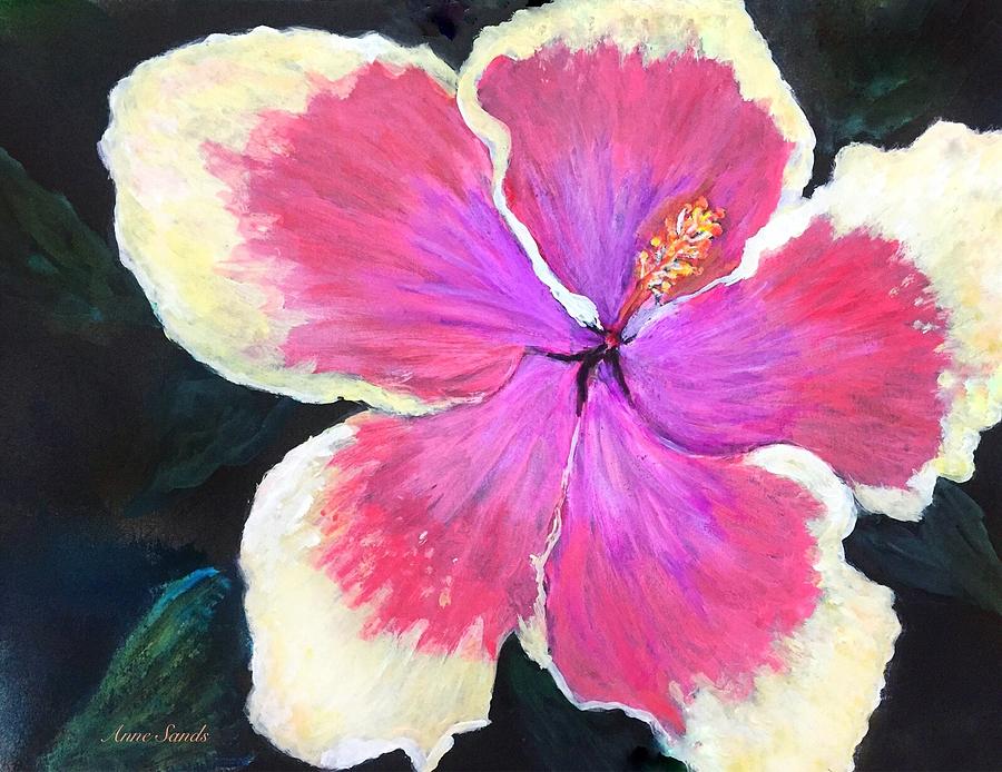 Flowers Still Life Painting - Hibiscus flower by Anne Sands