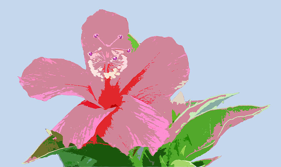 Hibiscus Flower Art - 2 Digital Art by Karen Nicholson