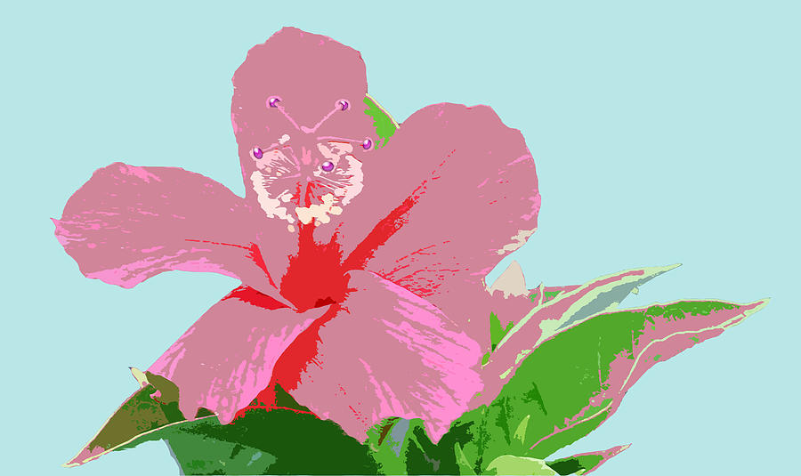 Hibiscus Flower Art - 3 Digital Art by Karen Nicholson