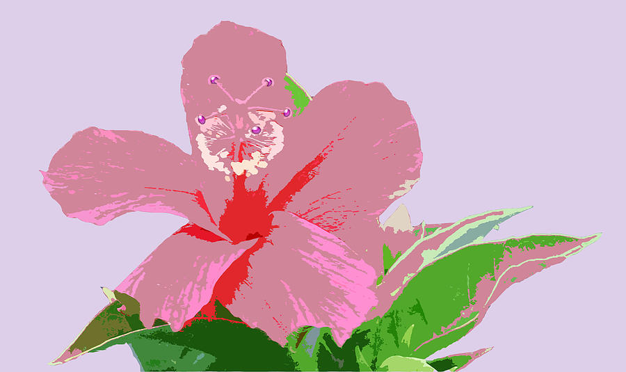 Hibiscus Flower Art Digital Art by Karen Nicholson