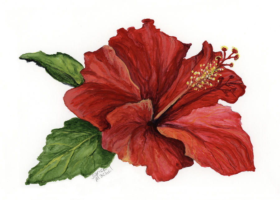Hibiscus Flower Painting by Darice Machel McGuire