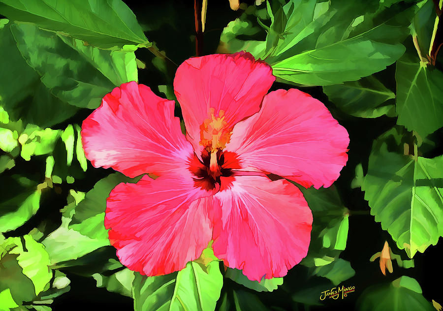 Hibiscus Flower Digital Art by James Mingo