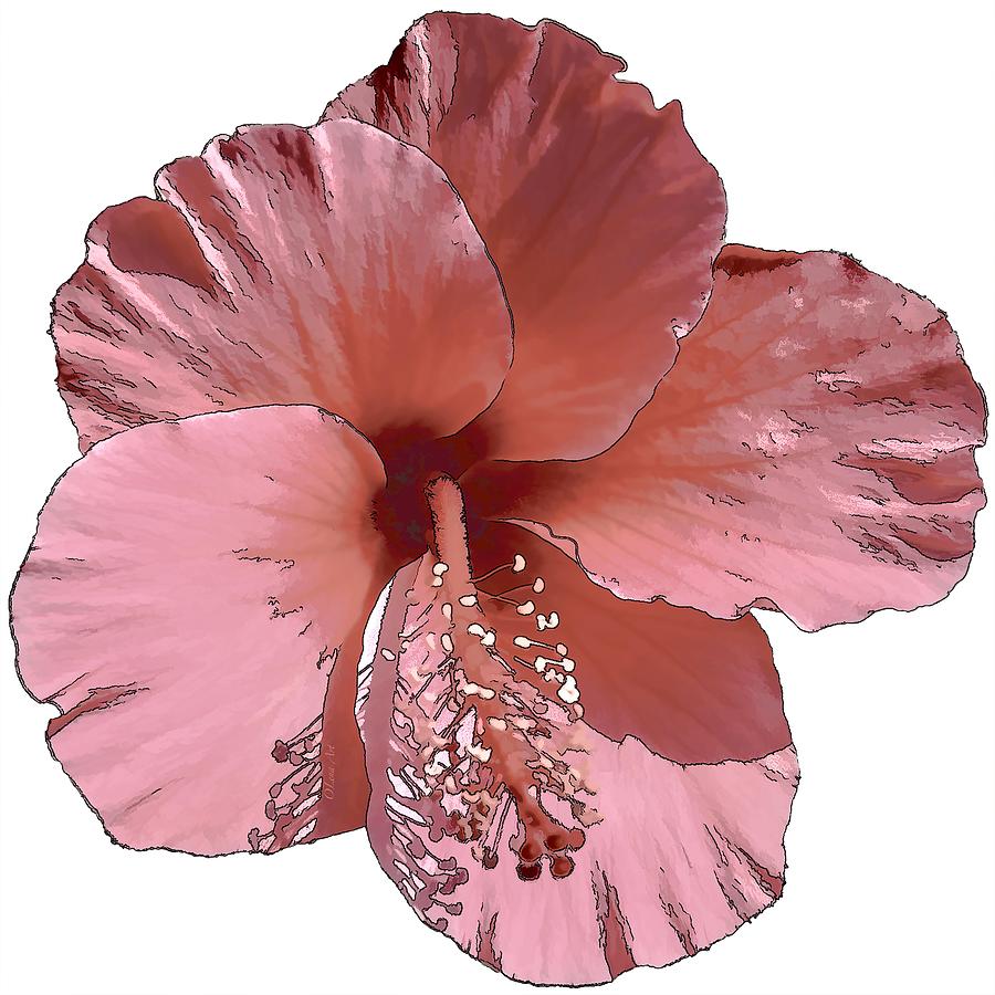 Hibiscus  Flower  Digital Art by OLena Art