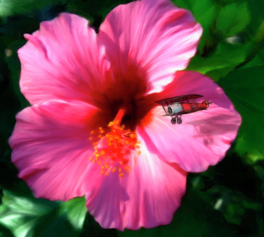 Hibiscus Fly-By Digital Art by Snake Jagger