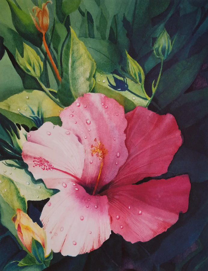 Hibiscus Passion Painting by Frank Zampardi