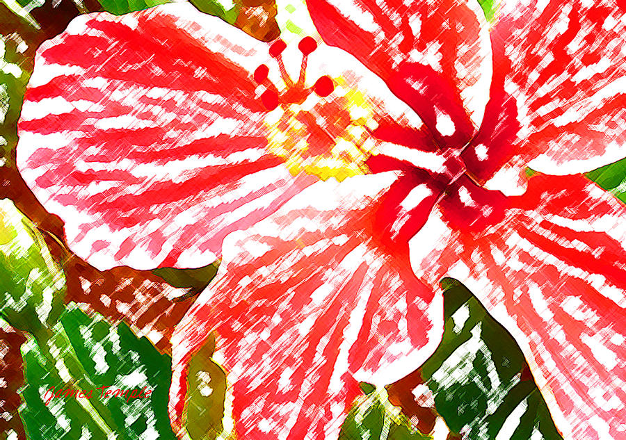 Hibiscus Digital Art by James Temple
