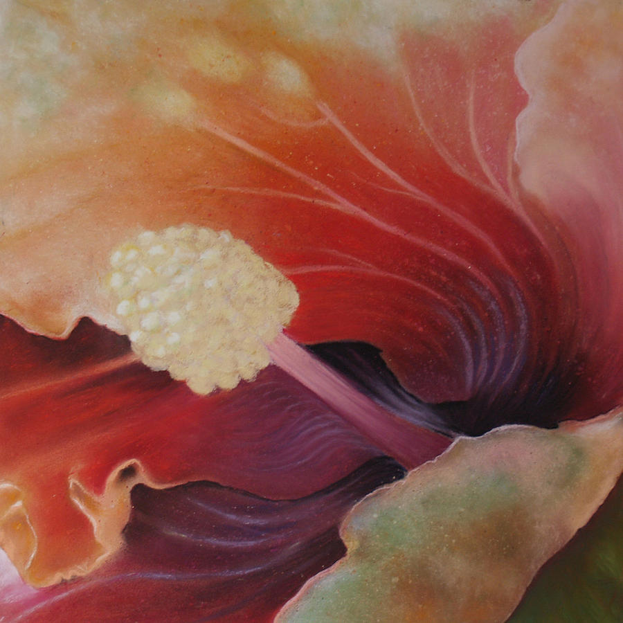 Hibiscus Macro Painting  by Susan Jenkins