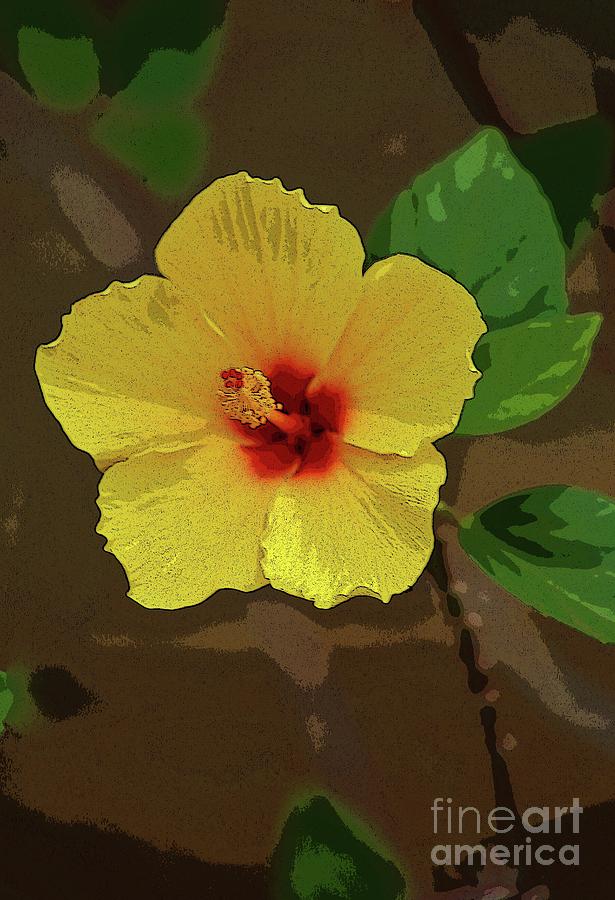 Hibiscus of Yellow and Red Photograph by Craig Wood