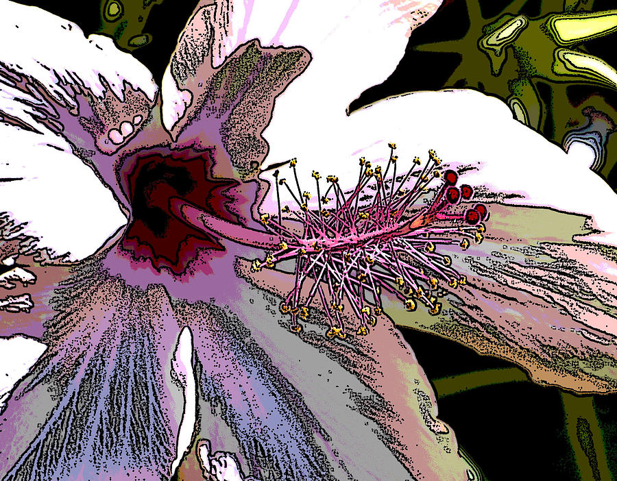 Hibiscus Posterized I Macro Digital Art by Linda Brody
