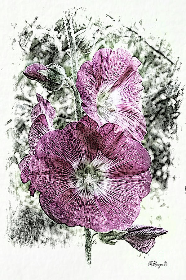 Hibiscus Digital Art by Rebecca Langen