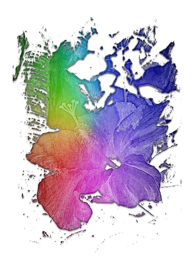 Hibiscus S D Z 2 Cool Rainbow 3 Dimensional Photograph by DiDesigns Graphics