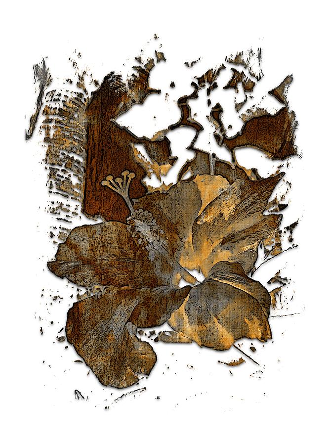 Hibiscus S D Z 2 Earthy 3 Dimensional Photograph by DiDesigns Graphics
