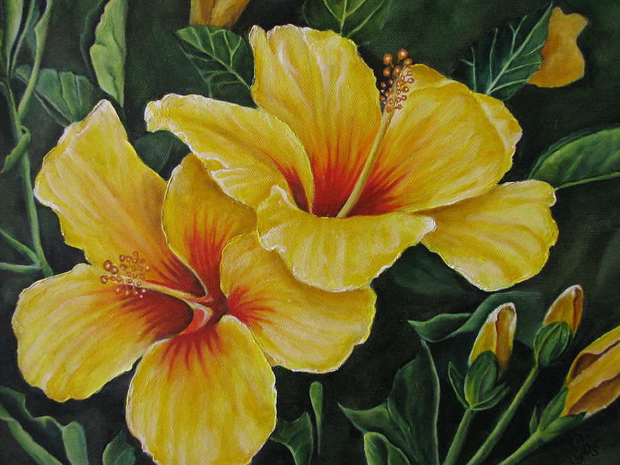 Hibiscus Painting by Shirley C Checkos - Fine Art America