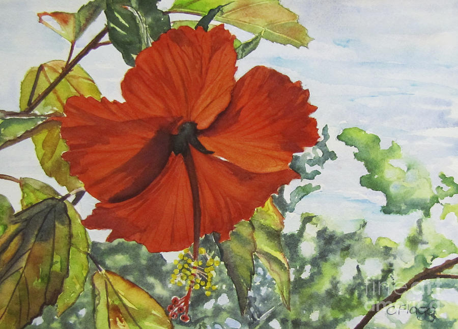 Hibiscus St Thomas Painting by Carol Flagg