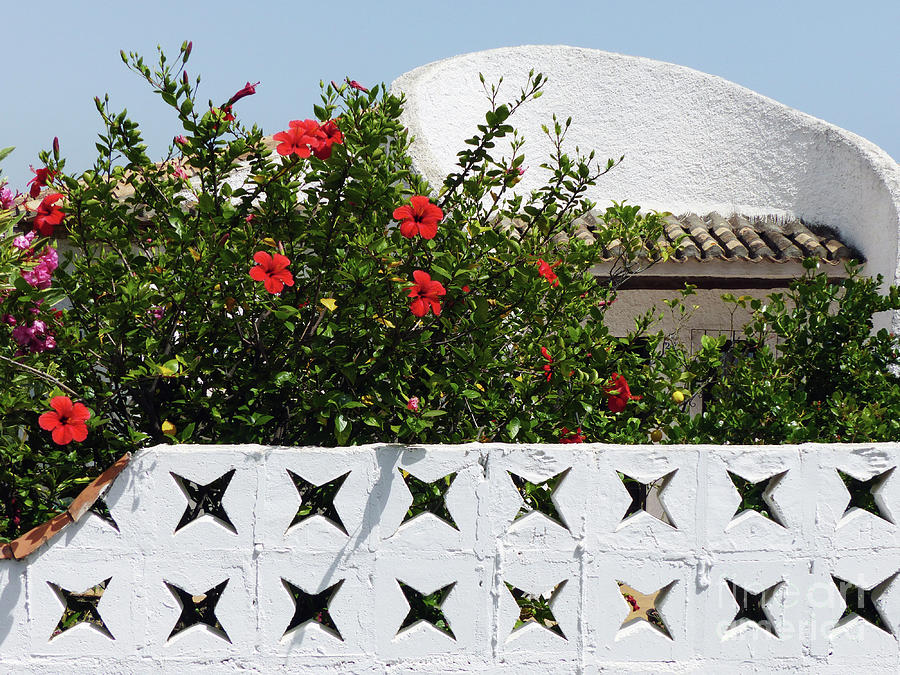 Garden Wall - Andalucia Photograph by Phil Banks