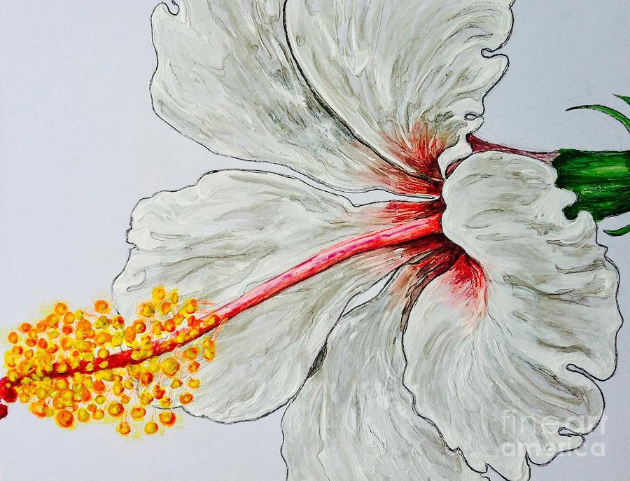 Hibiscus White and Red Painting by Sheron Petrie