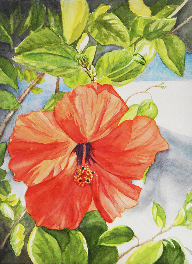 Hibiscus with Blue Painting by Karen Sturgill