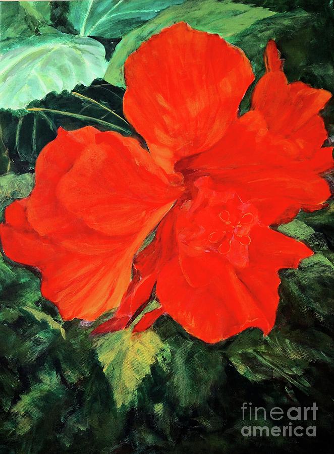 Hibiscus by Gail Kent Hibiscus by Gail Kent
