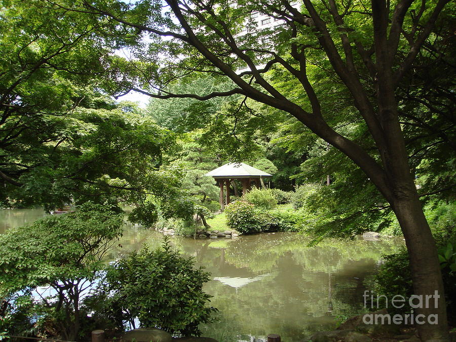 Hibiya Park Tokyo Photograph by Yvonne Johnstone