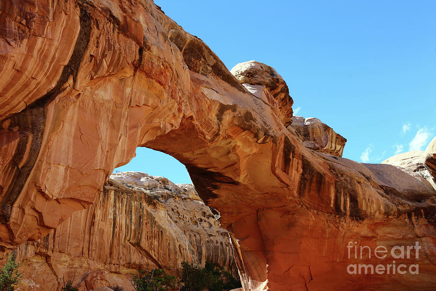 Capitol Reef National Park Photograph - Hickman Bridge Capitol Reef by Marty Fancy