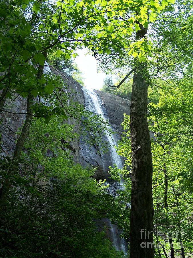 Hickory Nut Falls Chimney Rock Photograph by Randy Edwards - Fine Art ...