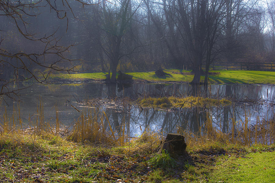 Hickory Nut Grove Pond Photograph by Raymond Kunst