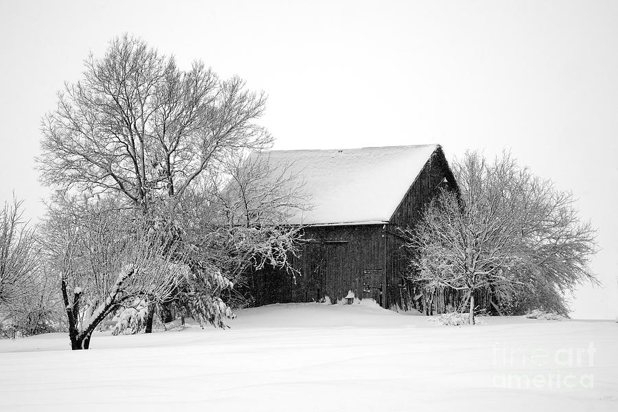 Hidden Barn 9618 Photograph by Ken DePue