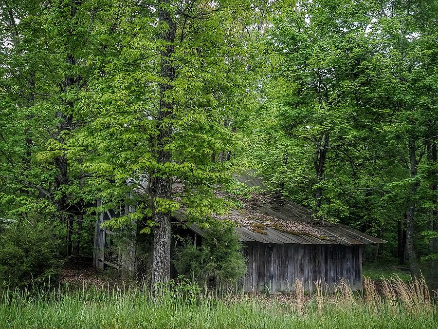 Hidden Barn Photograph by Angela Comperry