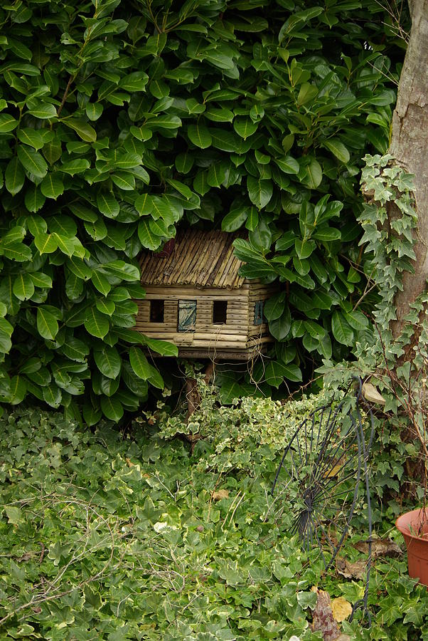 Hidden Birdhouse Photograph by Cindy Johnston