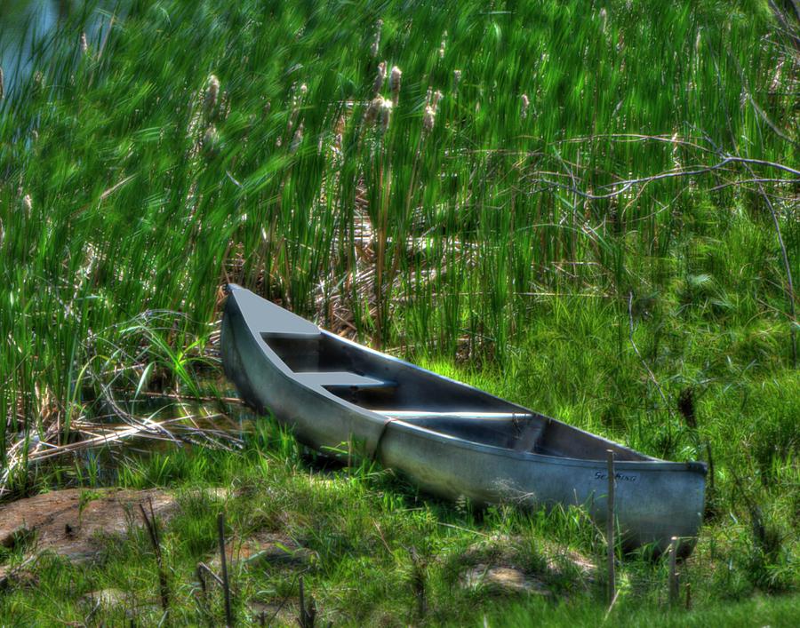 Hidden Boat Photograph by Don Wolf