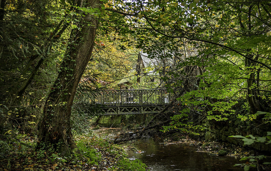 Hidden Bridge at Offas Dyke Photograph by Spikey Mouse Photography