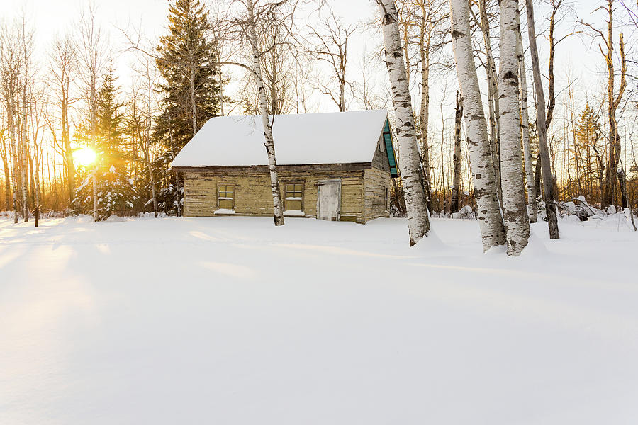 Winter Photograph - Hidden Cabin by Nebojsa Novakovic