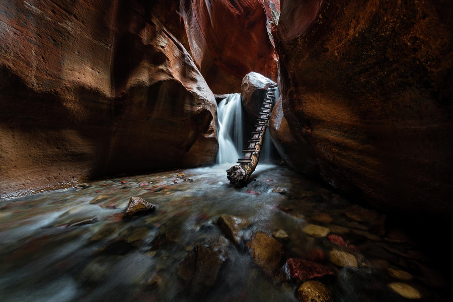 Zion National Park Photograph - Hidden Canyon by Larry Marshall