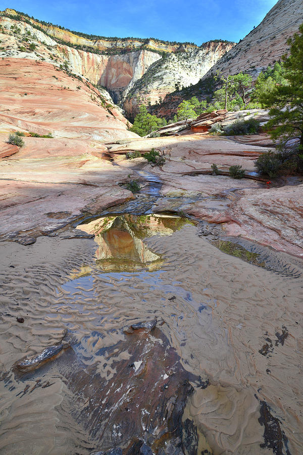 Hidden Canyon Reflection Photograph by Ray Mathis