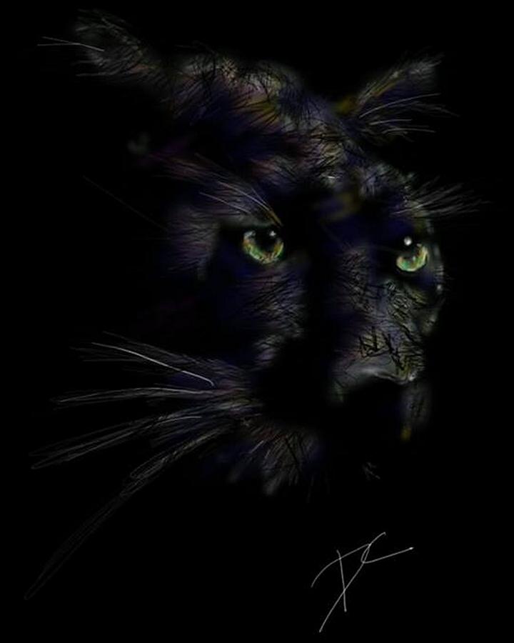 Hidden Cat Digital Art by Darren Cannell