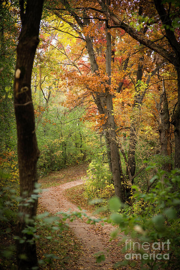 Hidden Copper Trail Photograph by Becqi Sherman