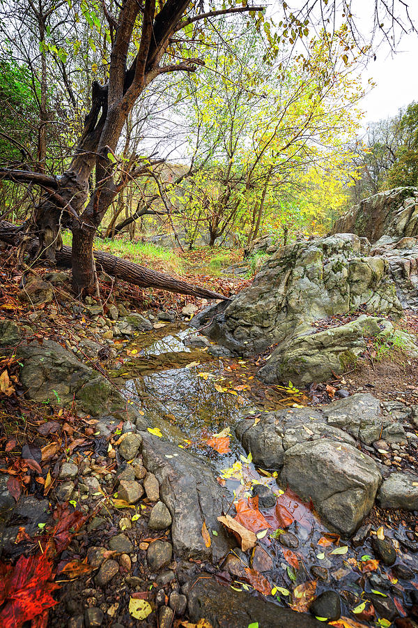 Hidden Fall Stream Photograph by Alan Raasch