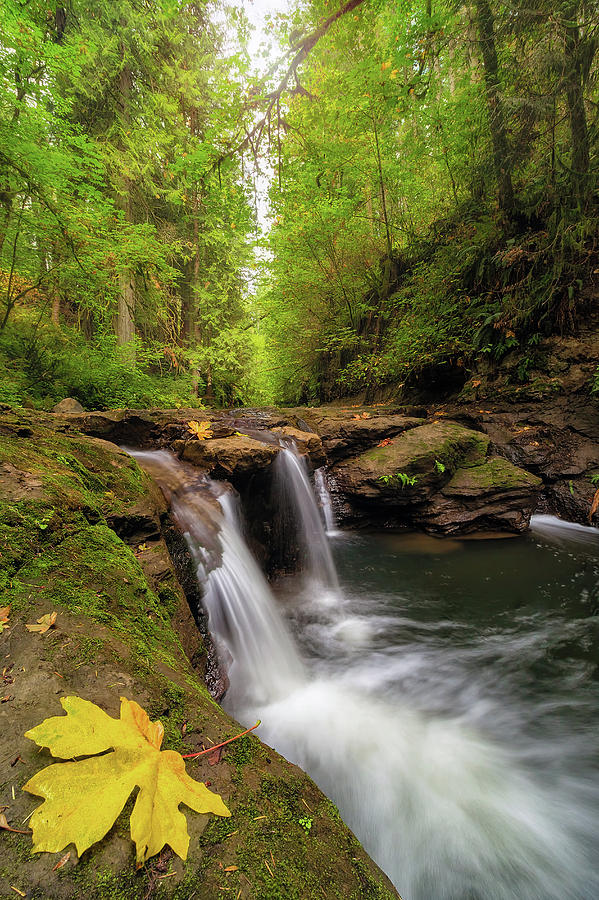 Hidden Falls at Rock Creek Photograph by David Gn