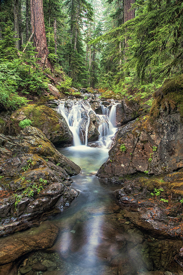 Mount Rainier National Park Photograph - Hidden Falls by Geoffrey Ferguson