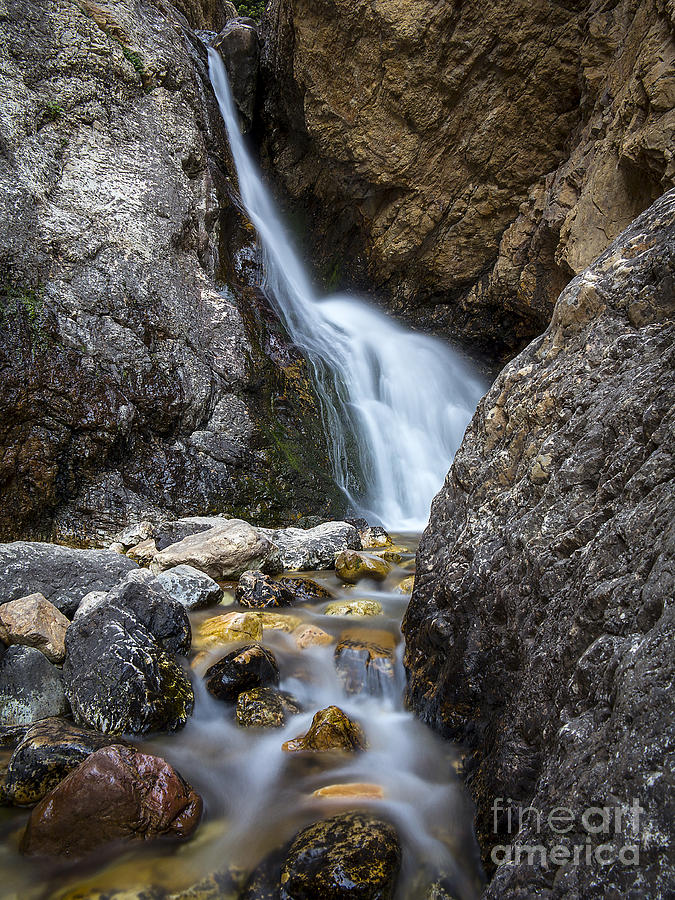 Hidden Falls Photograph by Spencer Baugh