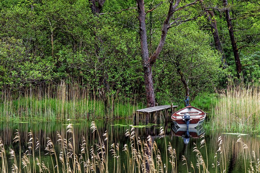 HIdden Fishing Pond Photograph by Chris Buff