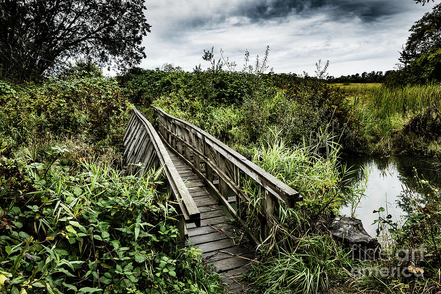 Hidden Foot Bridge Across Pond Photograph by M G Whittingham