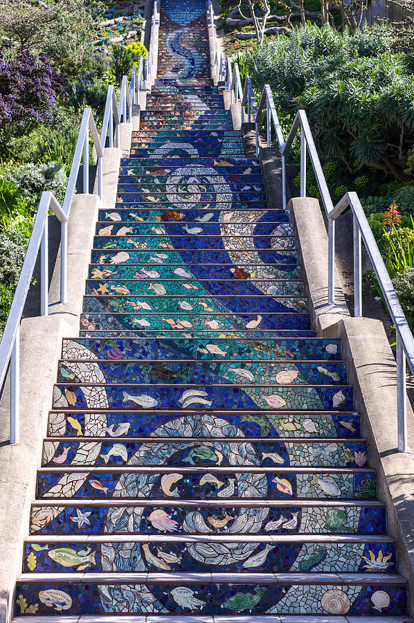 Hidden Garden Steps, San Francisco Photograph by Judith Barath