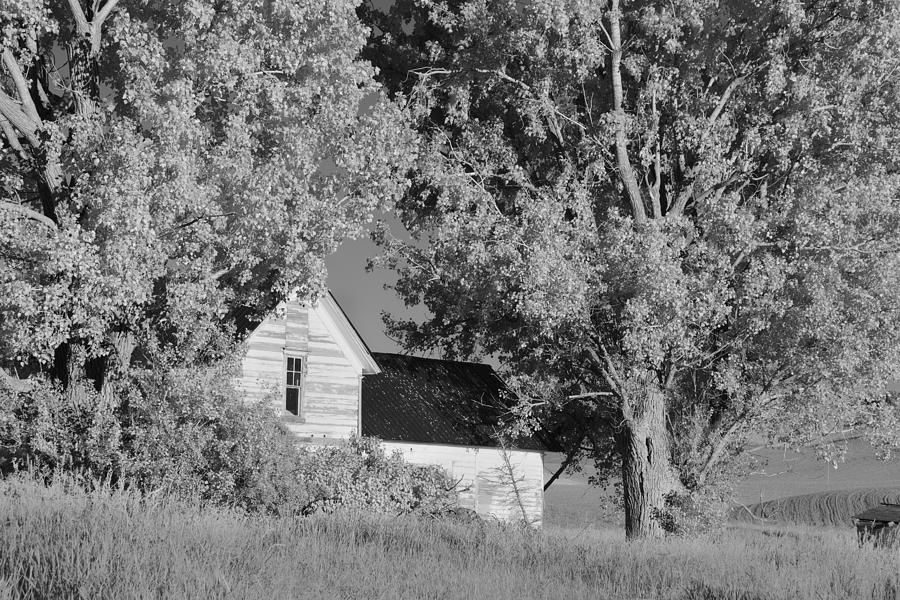 Hidden House in Washington II Photograph by Jon Glaser