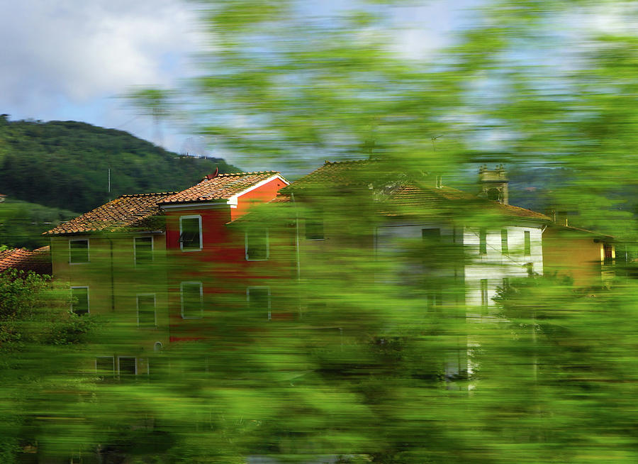 Tree Photograph - Hidden Houses by Irene Bacchi