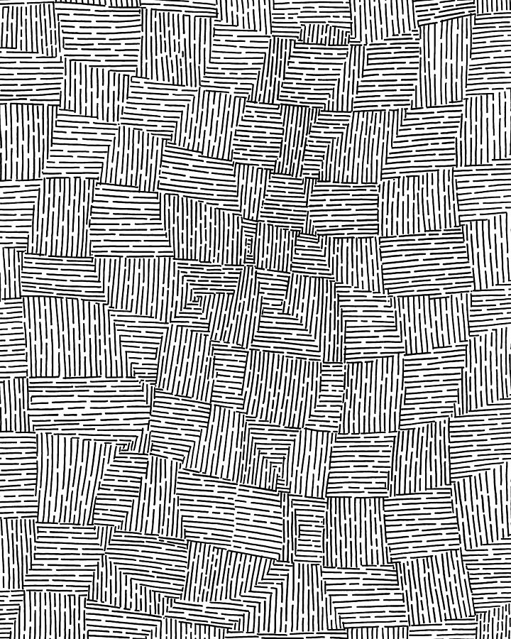 Hidden Image #14 Drawing by A Mad Doodler