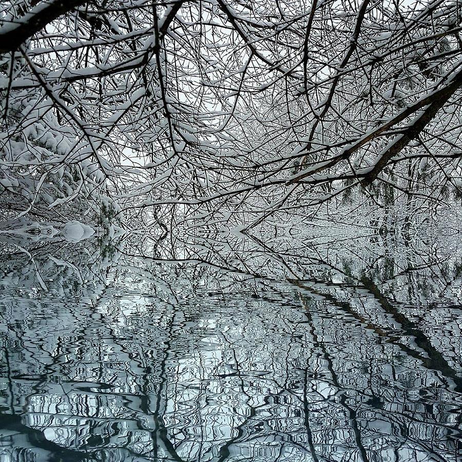 Hidden Image Digital Art by James Haynes - Fine Art America