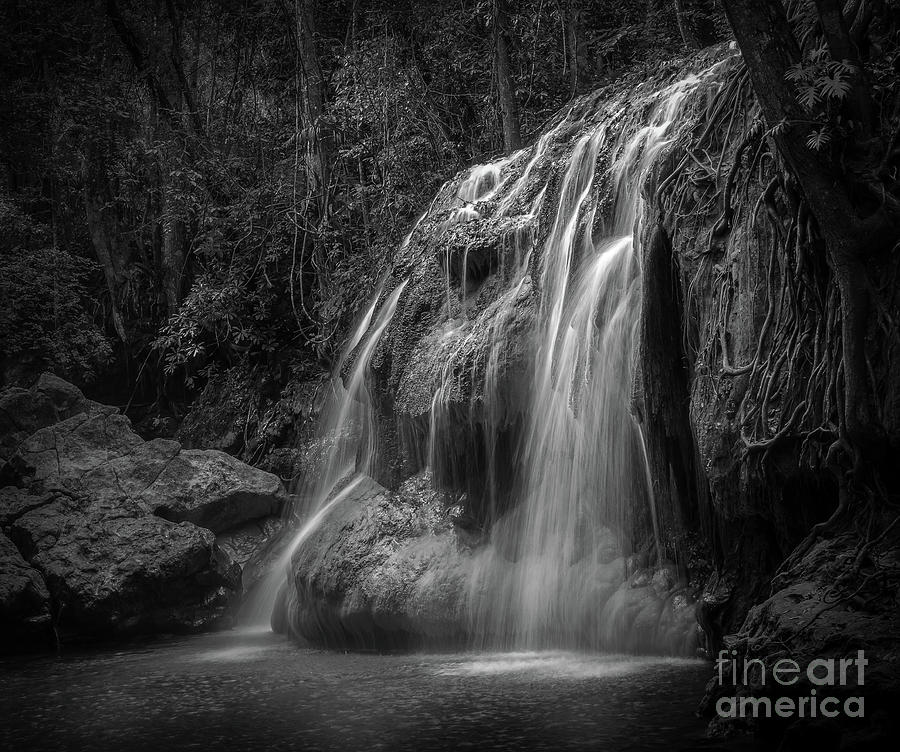 Hidden In The Jungle Of Guatemala BW by Jola Martysz Hidden In The Jungle Of Guatemala BW by Jola Martysz