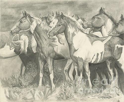 Hidden Indians Drawing by Aprille Thompson | Fine Art America